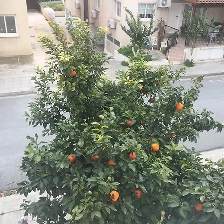 Mariko شقة لارنكا