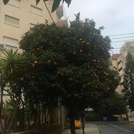 Mariko شقة *